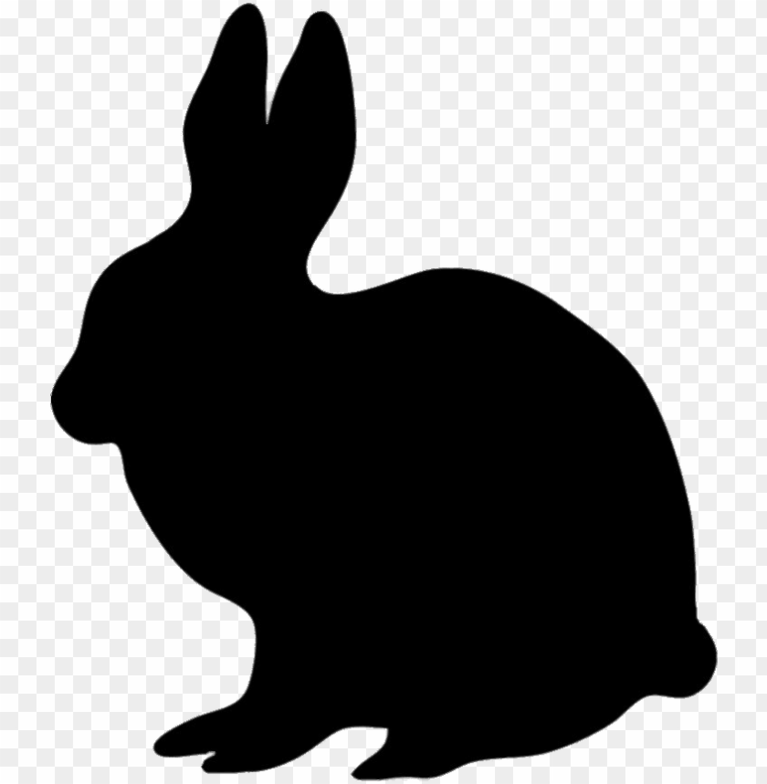 Detail Rabbit Transparent Background Nomer 31