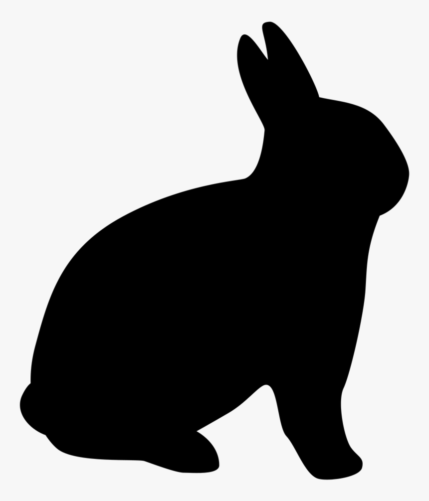 Detail Rabbit Transparent Background Nomer 44