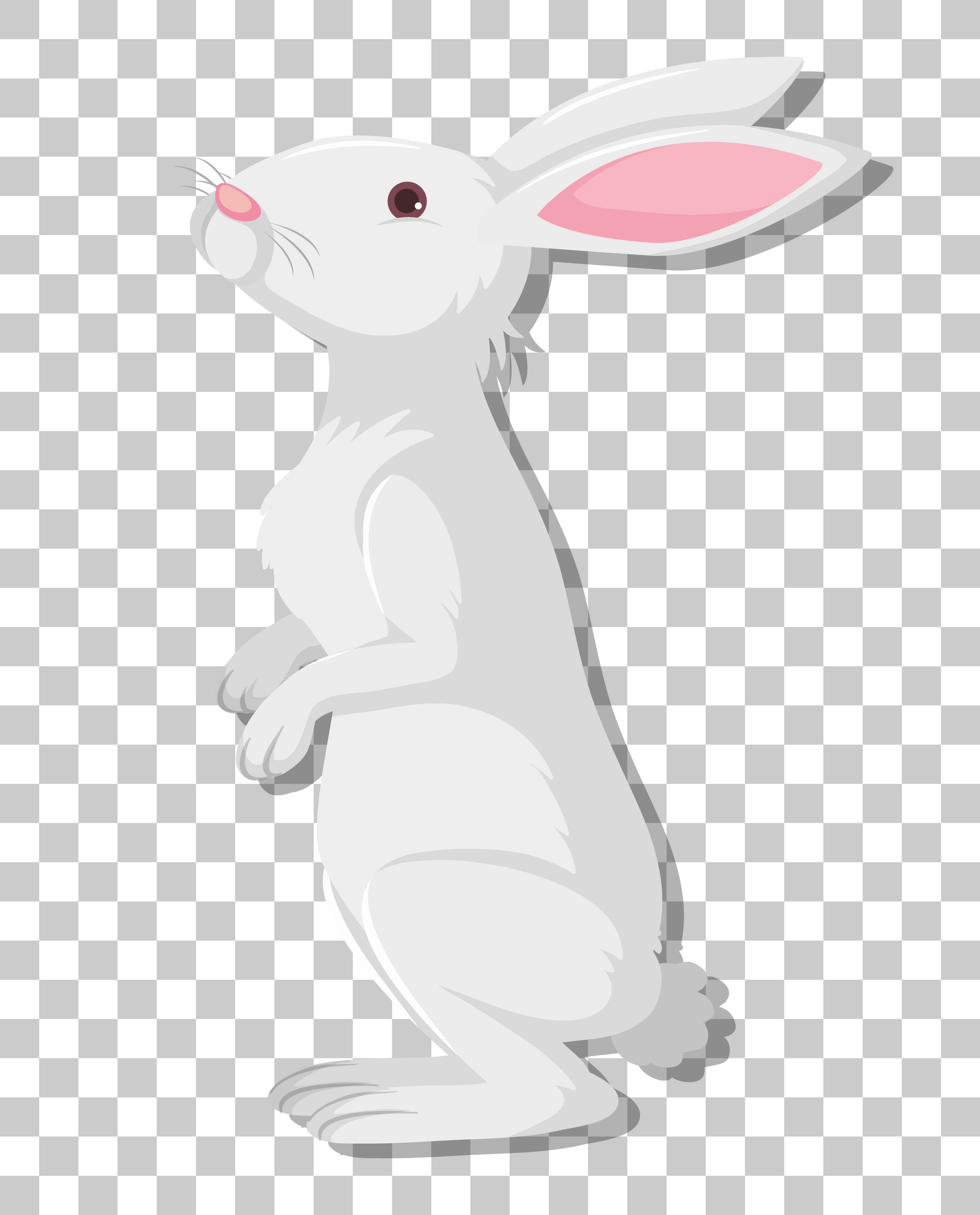 Detail Rabbit Transparent Background Nomer 51