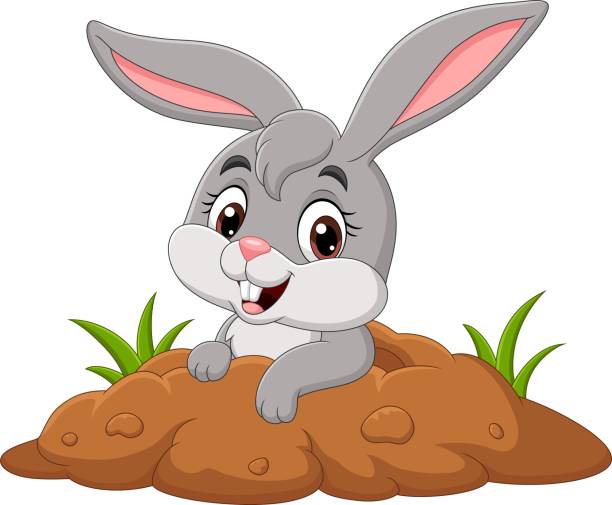 Detail Rabbit Vector Png Nomer 24