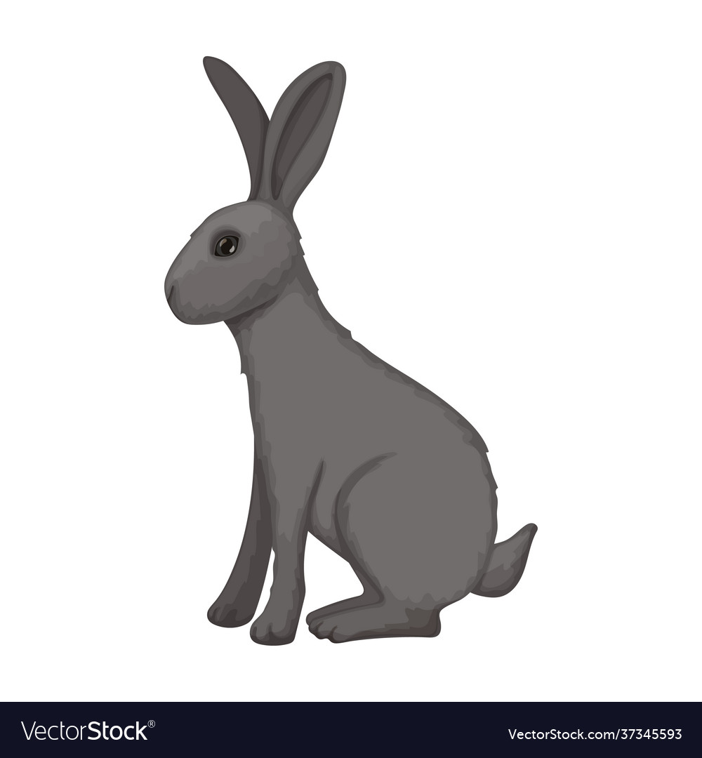 Detail Rabbit Vector Png Nomer 26