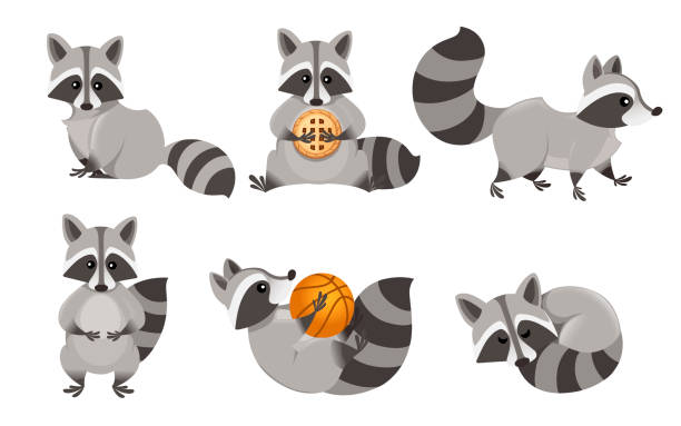 Detail Raccon Clipart Nomer 2