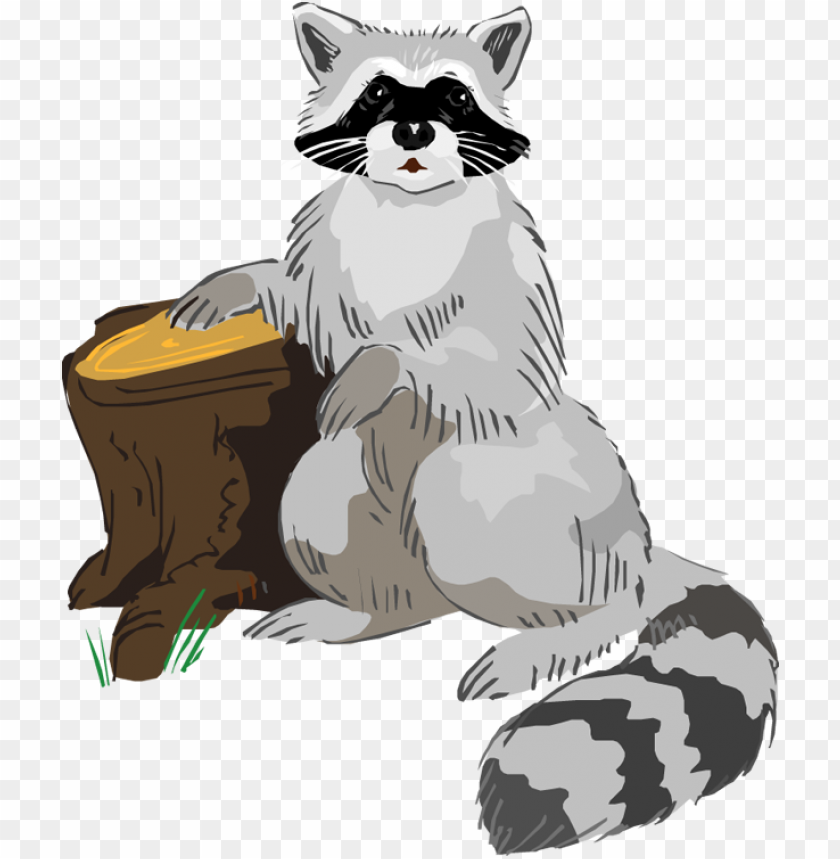 Detail Raccon Clipart Nomer 26