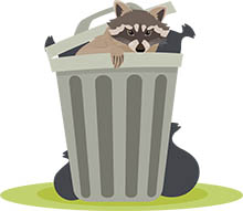 Detail Raccon Clipart Nomer 31