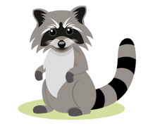 Detail Raccon Clipart Nomer 5