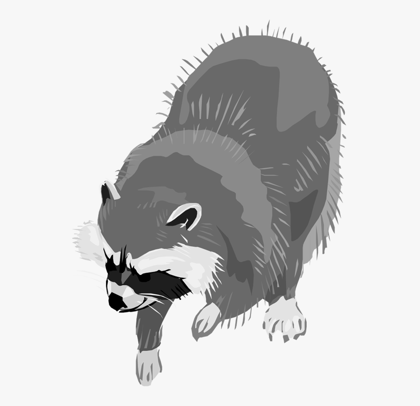 Detail Raccon Clipart Nomer 46