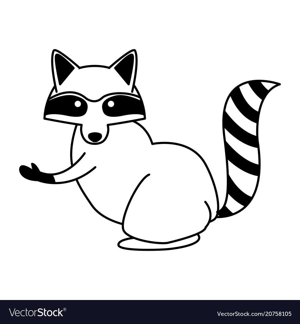 Raccoon Black And White Clipart - KibrisPDR