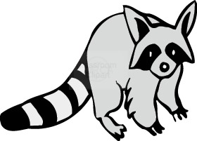 Detail Raccoon Black And White Clipart Nomer 16