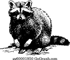 Detail Raccoon Black And White Clipart Nomer 31