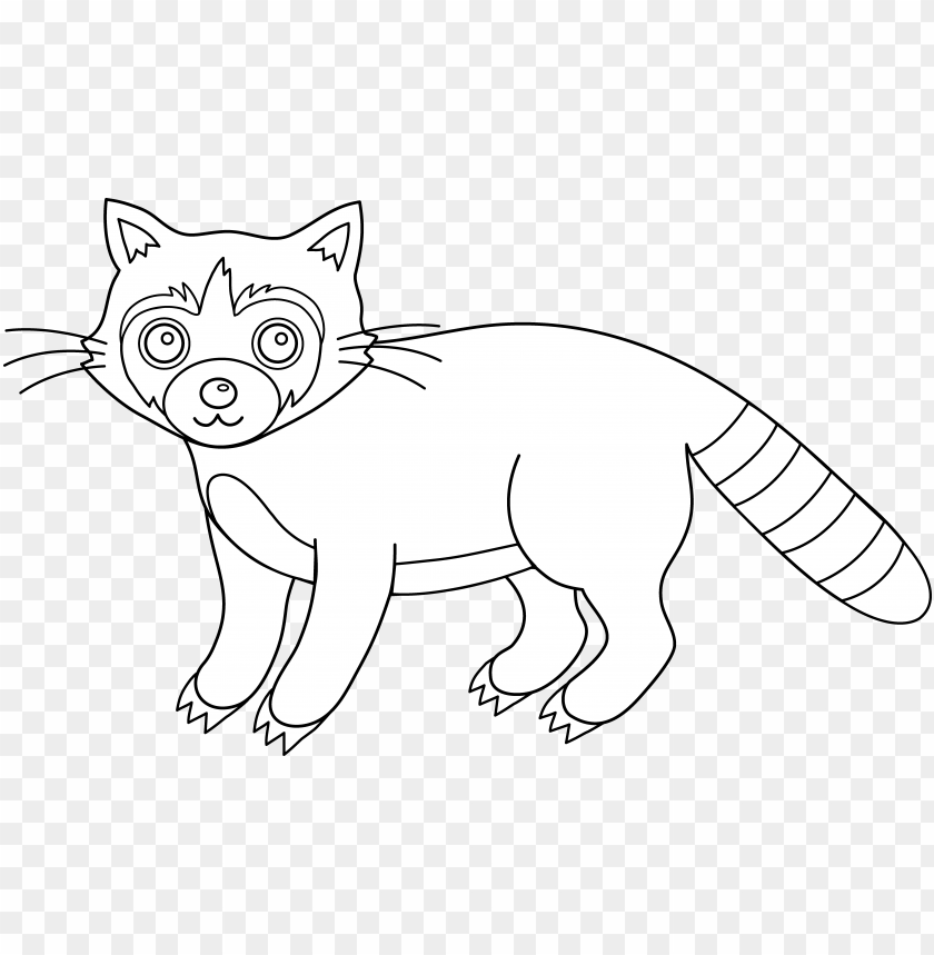 Detail Raccoon Black And White Clipart Nomer 35