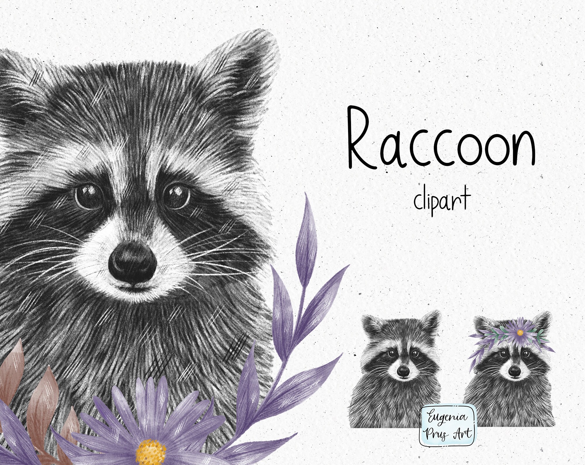 Detail Raccoon Black And White Clipart Nomer 37