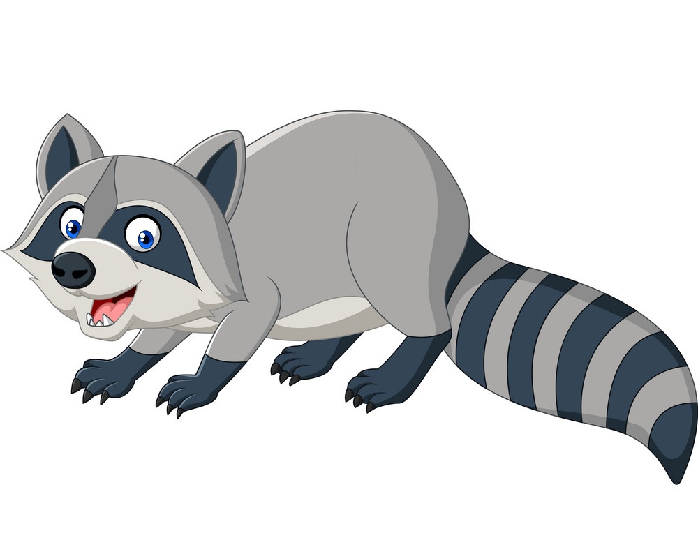 Detail Raccoon Clipart Nomer 4