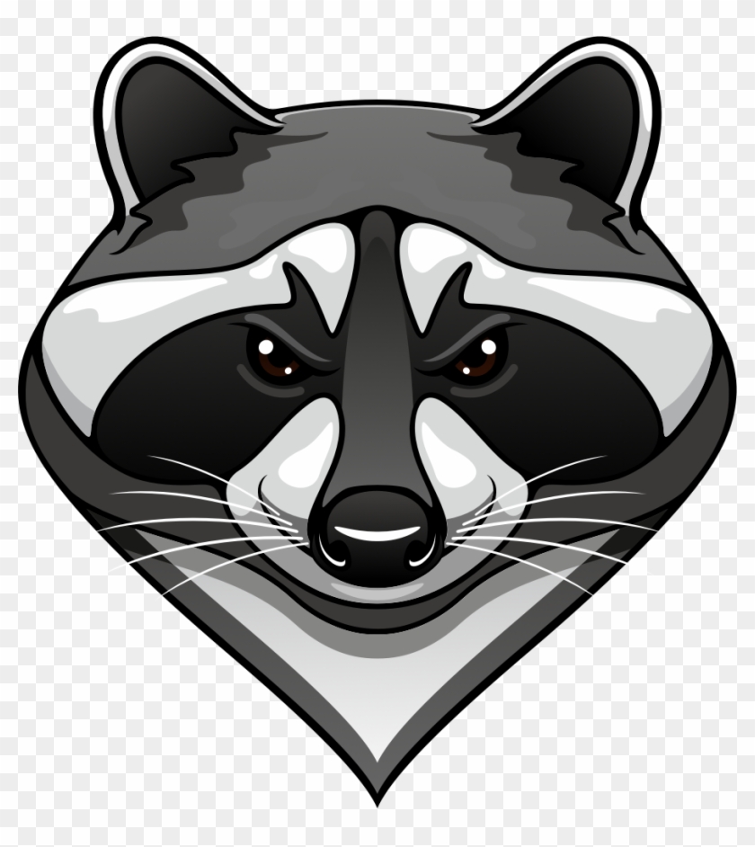 Detail Raccoon Download Nomer 40