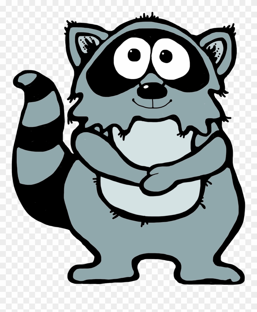 Detail Raccoon Download Nomer 47