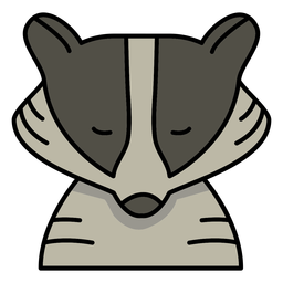 Detail Raccoon Face Png Nomer 30