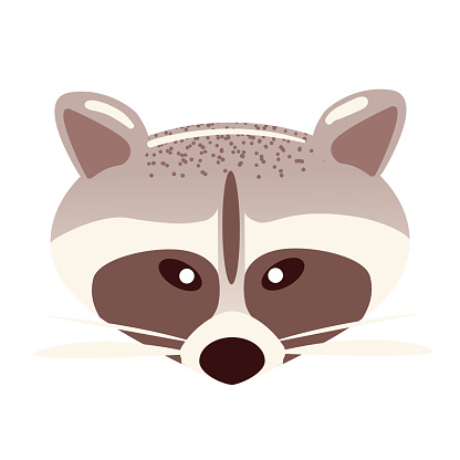 Detail Raccoon Face Png Nomer 37