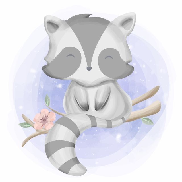 Detail Raccoon Face Png Nomer 50