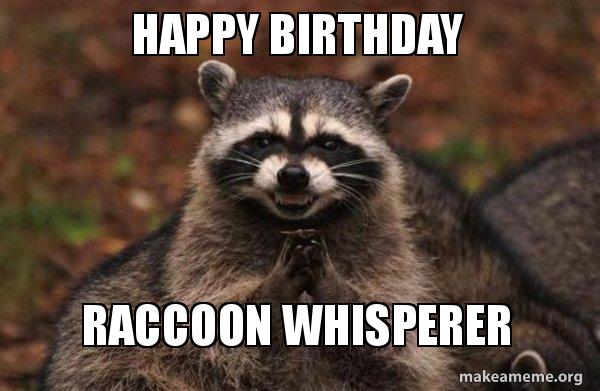 Detail Raccoon Happy Birthday Meme Nomer 2