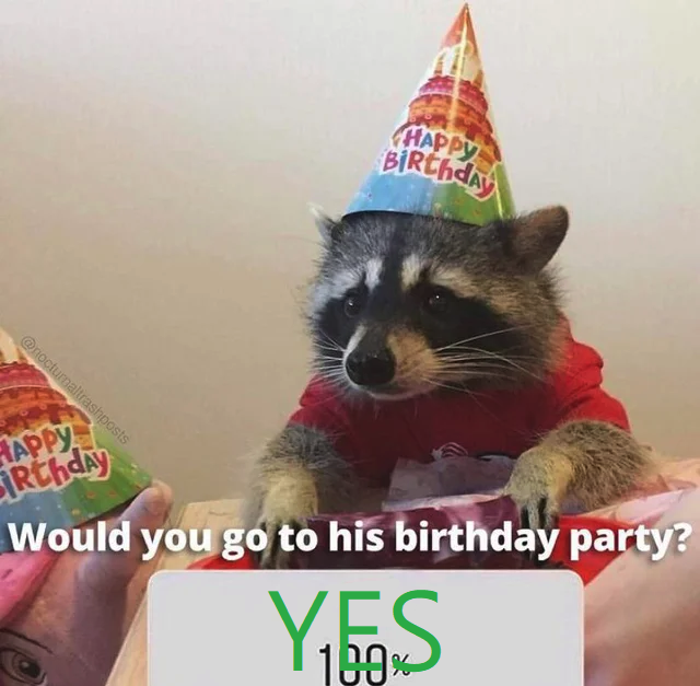 Detail Raccoon Happy Birthday Meme Nomer 23