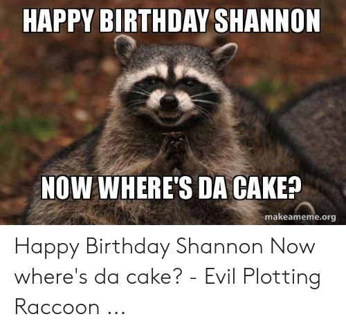 Detail Raccoon Happy Birthday Meme Nomer 37