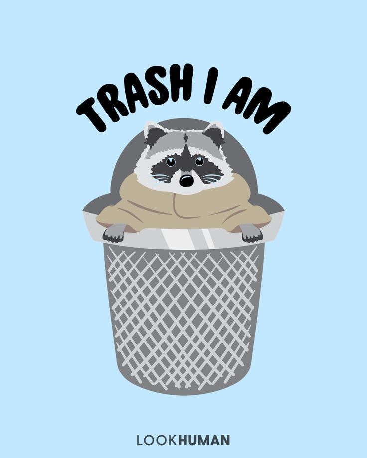 Detail Raccoon In Trash Can Meme Nomer 38