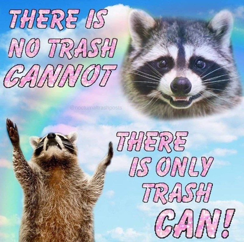 Detail Raccoon In Trash Can Meme Nomer 6