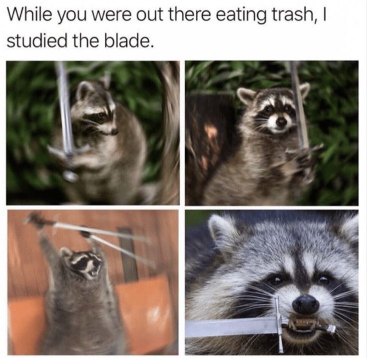 Detail Raccoon In Trash Can Meme Nomer 47