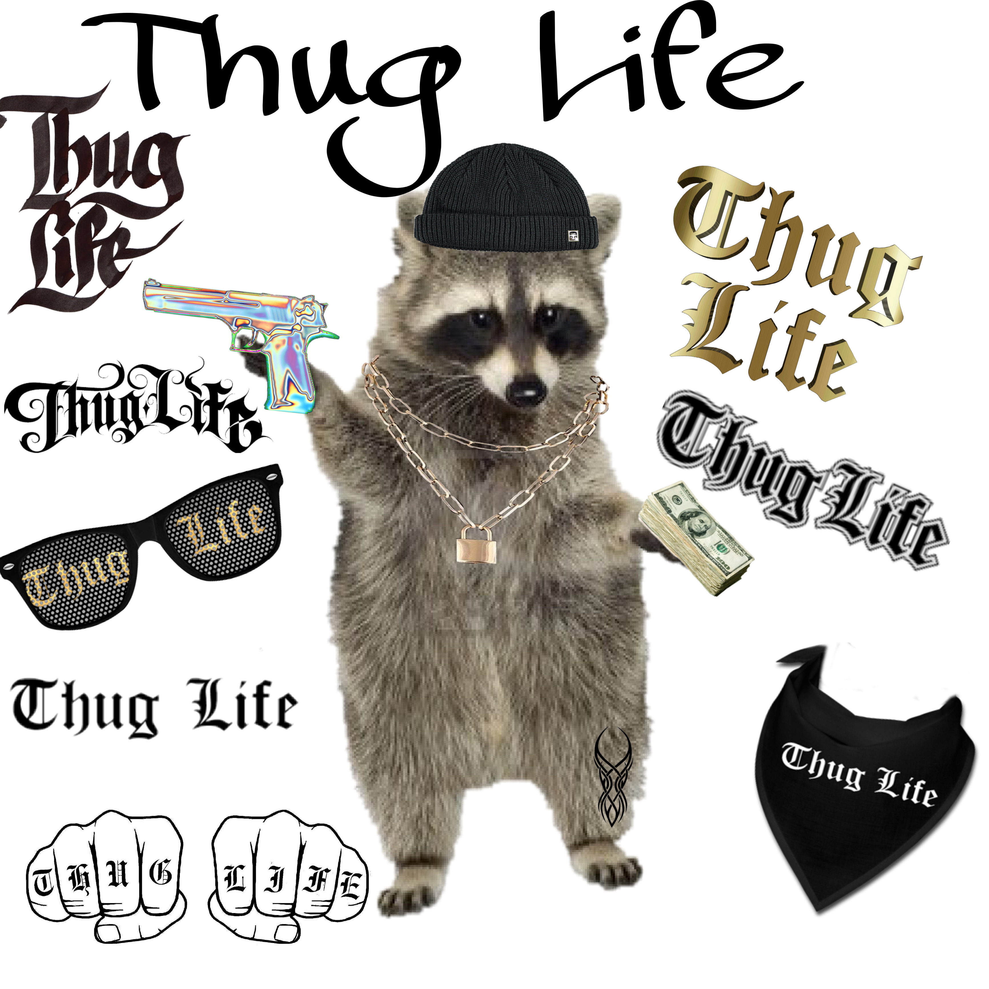 Detail Raccoon Thug Life Nomer 10