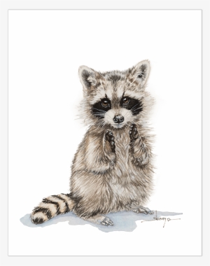 Detail Raccoon Transparent Background Nomer 40