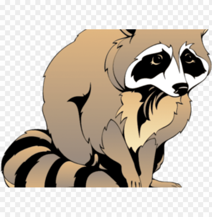 Detail Raccoon Transparent Background Nomer 43