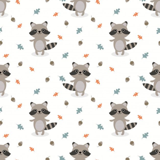 Detail Racoon Background Nomer 49