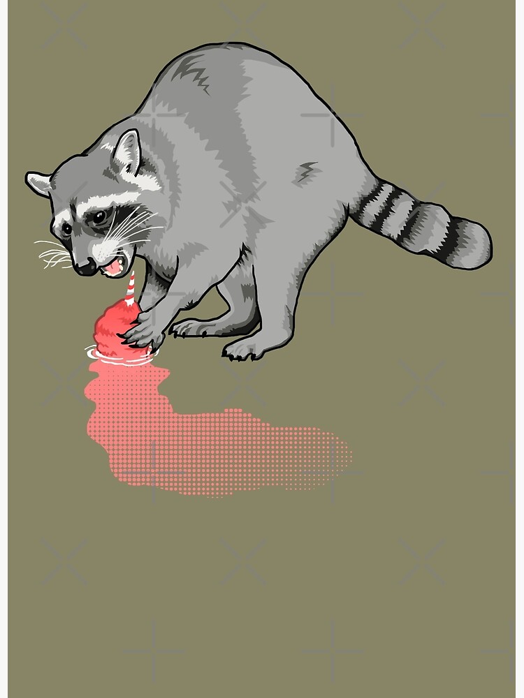 Detail Racoon Tries To Wash Cotton Candy Nomer 23