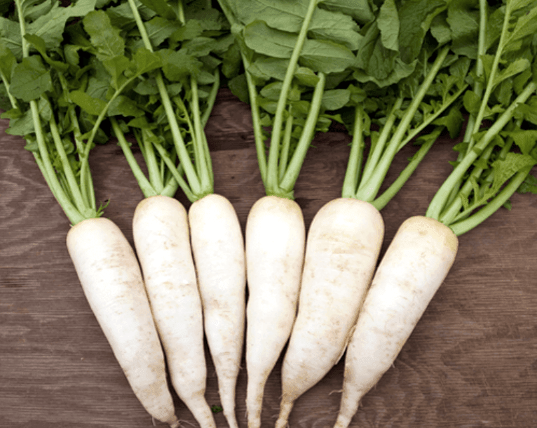 Detail Radish Image Nomer 17