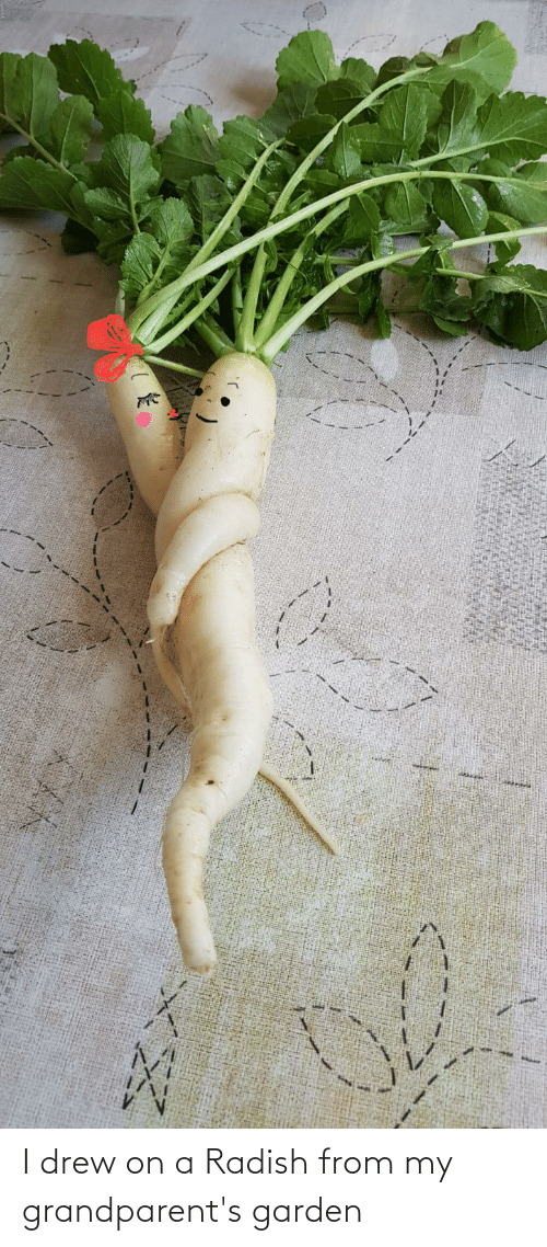 Detail Radish Meme Nomer 29