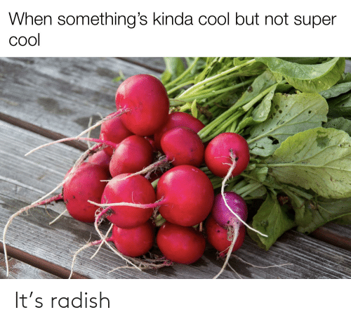 Detail Radish Meme Nomer 41