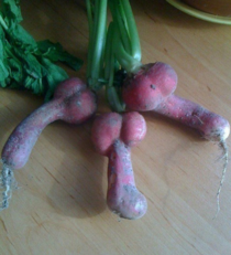Detail Radish Meme Nomer 47