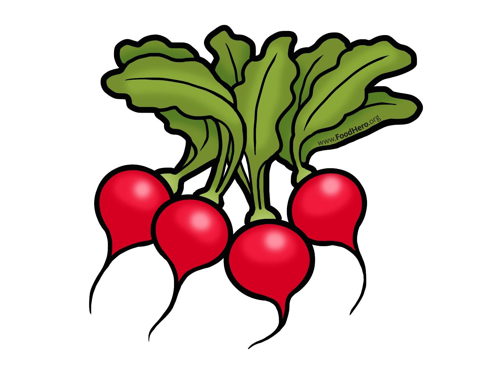 Radishes Clipart - KibrisPDR