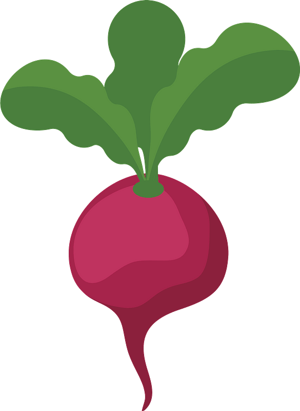 Detail Radishes Clipart Nomer 7