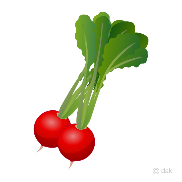 Detail Radishes Clipart Nomer 17