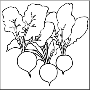 Detail Radishes Clipart Nomer 31