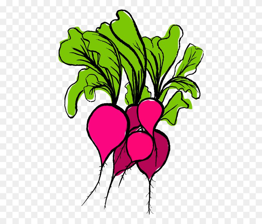 Detail Radishes Clipart Nomer 37