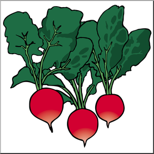 Detail Radishes Clipart Nomer 4