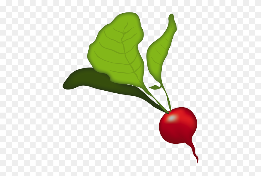 Detail Radishes Clipart Nomer 42