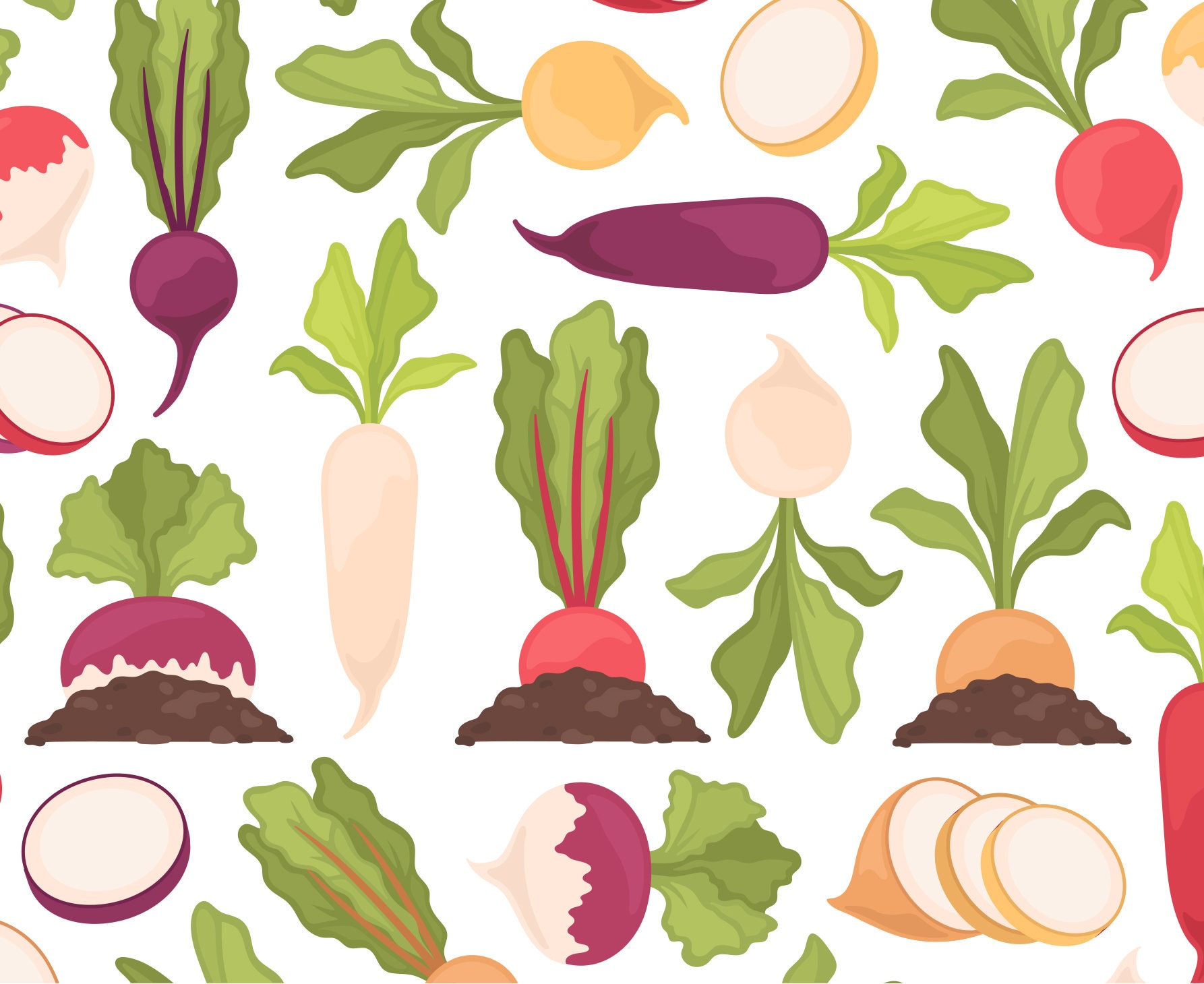 Detail Radishes Clipart Nomer 43