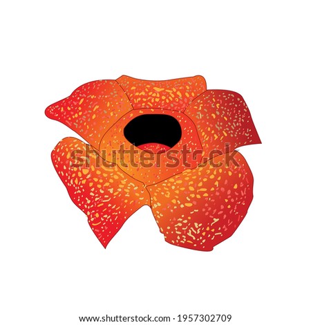 Detail Raflesia Arnoldi Png Nomer 35