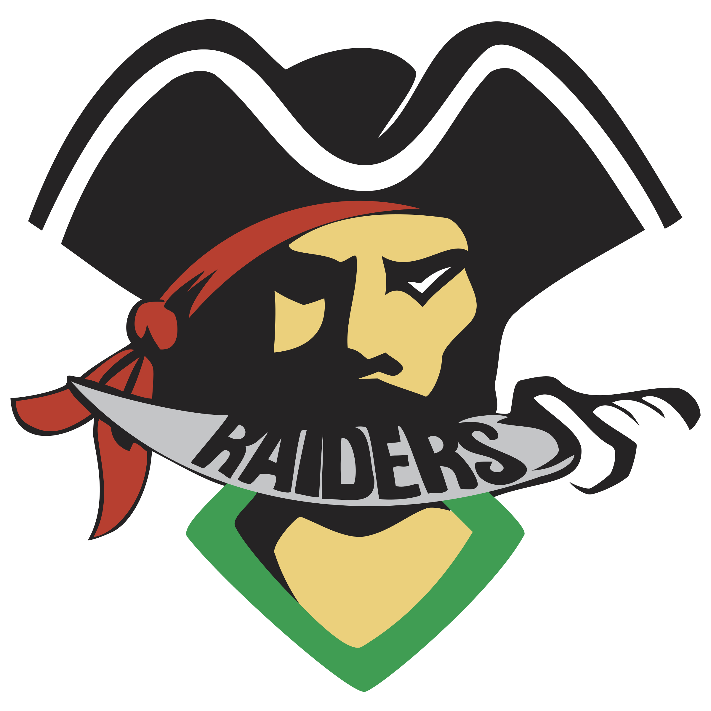Detail Raider Logo Png Nomer 44