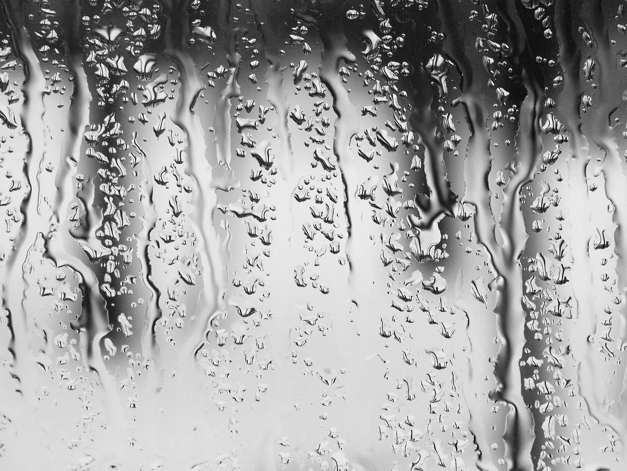 Detail Rain Effect Transparent Nomer 28