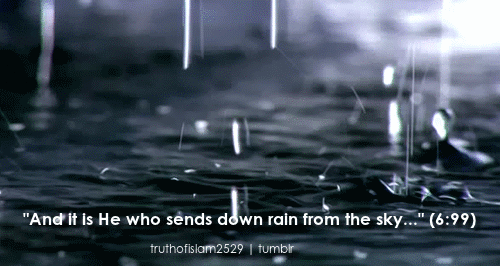 Detail Rain Islamic Quotes Nomer 14