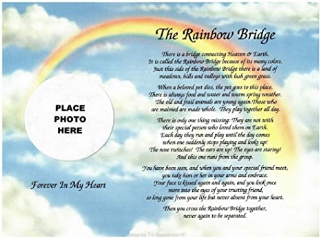 Detail Rainbow Bridge Images Free Nomer 16