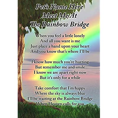 Detail Rainbow Bridge Images Free Nomer 24